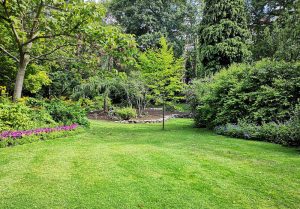 Optimiser l'expérience du jardin à Champagny-en-Vanoise